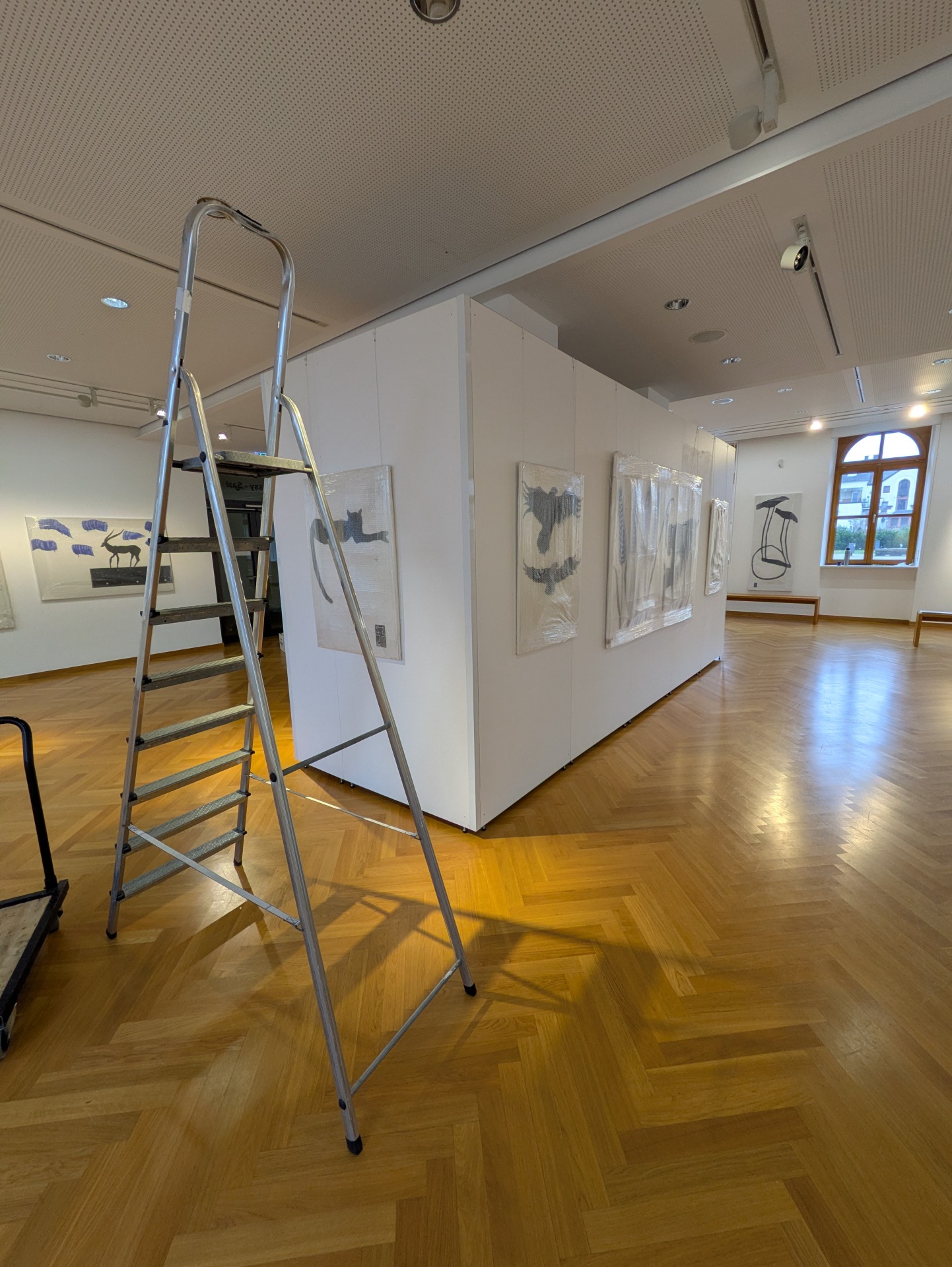 Aufbau der Wechselausstellung "Tierlegenden" Aufbau der Wechselausstellung "Tierlegenden"