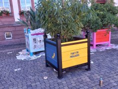 Der erste fertig besprayte Blumenkübel