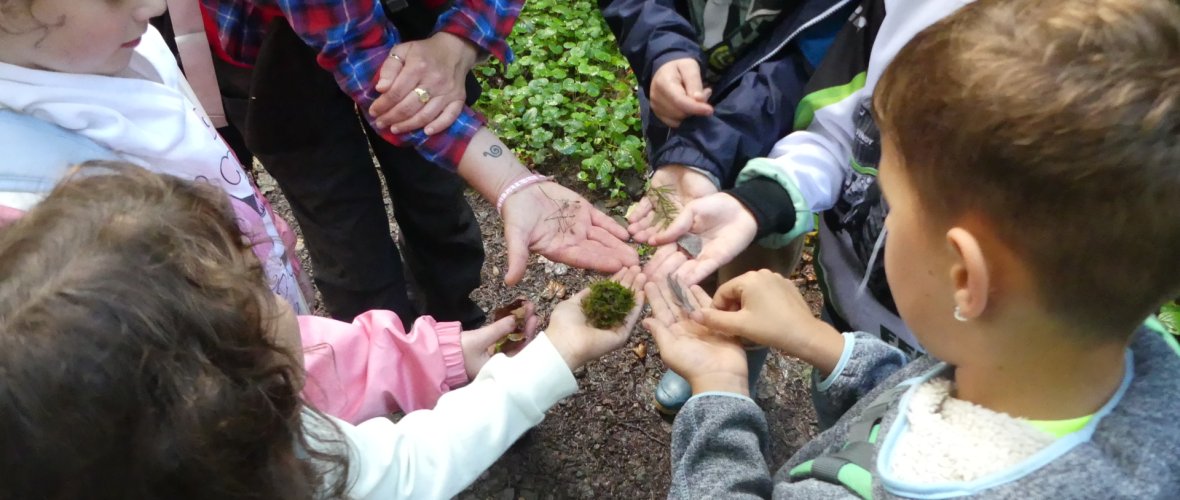 Alle zeigen ihre gefundenen Waldschätze bei "Raus in die Natur" Alle zeigen ihre gefundenen Waldschätze bei "Raus in die Natur"