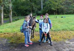 Die Teilnehmer des Workshops "Raus in die Natur" mit dem Esel