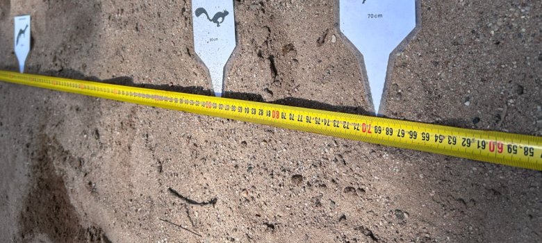 Tiere entdecken bei "Natur verbindet" Tiere entdecken bei "Natur verbindet"
