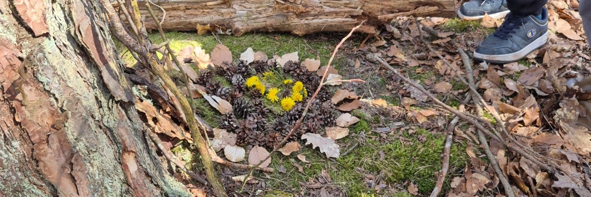 Ein Baum wird geschmückt beim Projekt "Naturfreunde" Ein Baum wird geschmückt beim Projekt "Naturfreunde"
