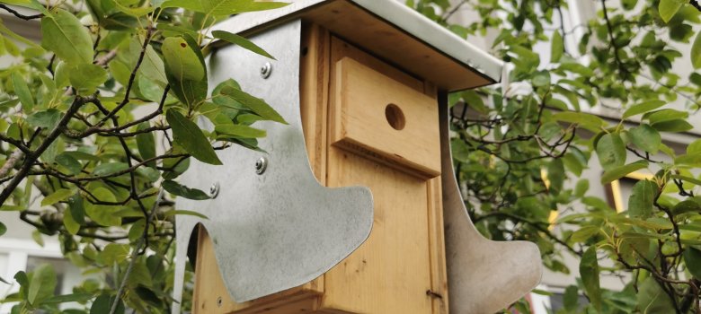 #schuhstadt-Nistkasten im Baum #schuhstadt-Nistkasten im Baum
