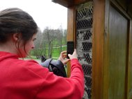 Junge Frau macht mit dem Mobiltelefon eine Nahaufnahme am Insektenhotel