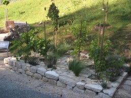 Geologiepfad Ingelheim Geologiepfad Ingelheim mit ortstypischen Pflanzen und Gesteinen