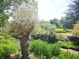 Strecktal - Sommer Strecktal - Sommer