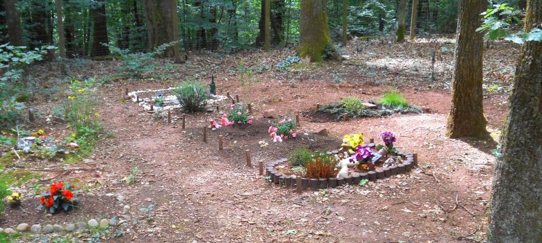 Waldfriedhof - Gräber Tierfriedhof