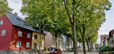 Walsterwiese Blick auf die Straße in der Walsterwiese Pirmasens