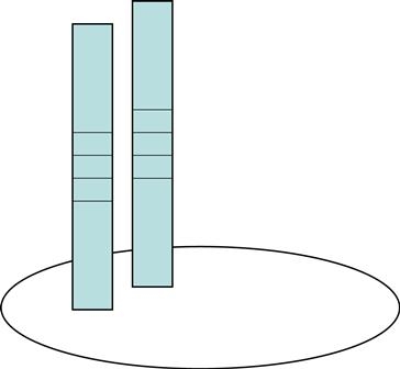 Logo Pirmasenser Gedenkprojekt 