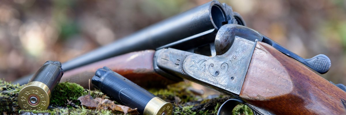 Waffe mit Munition im Wald Flinte im Wald