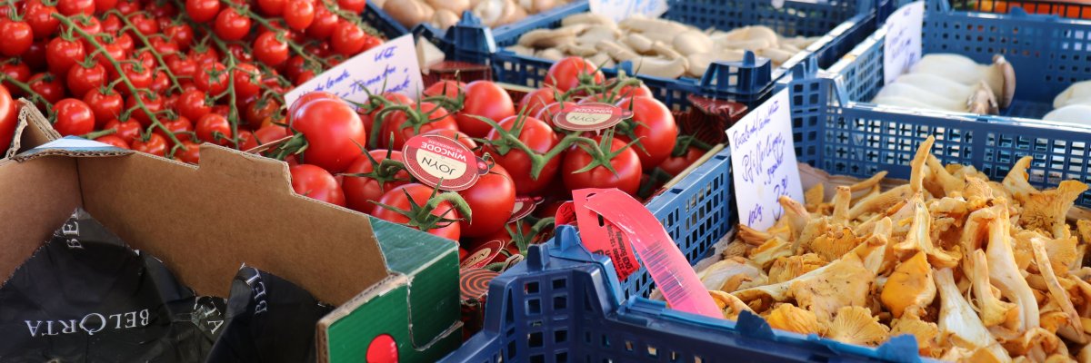 Markt - Gemüse Verschiedenes Gemüse vom Markt