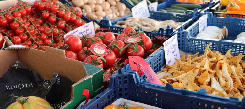 Markt - Gemüse Verschiedenes Gemüse vom Markt