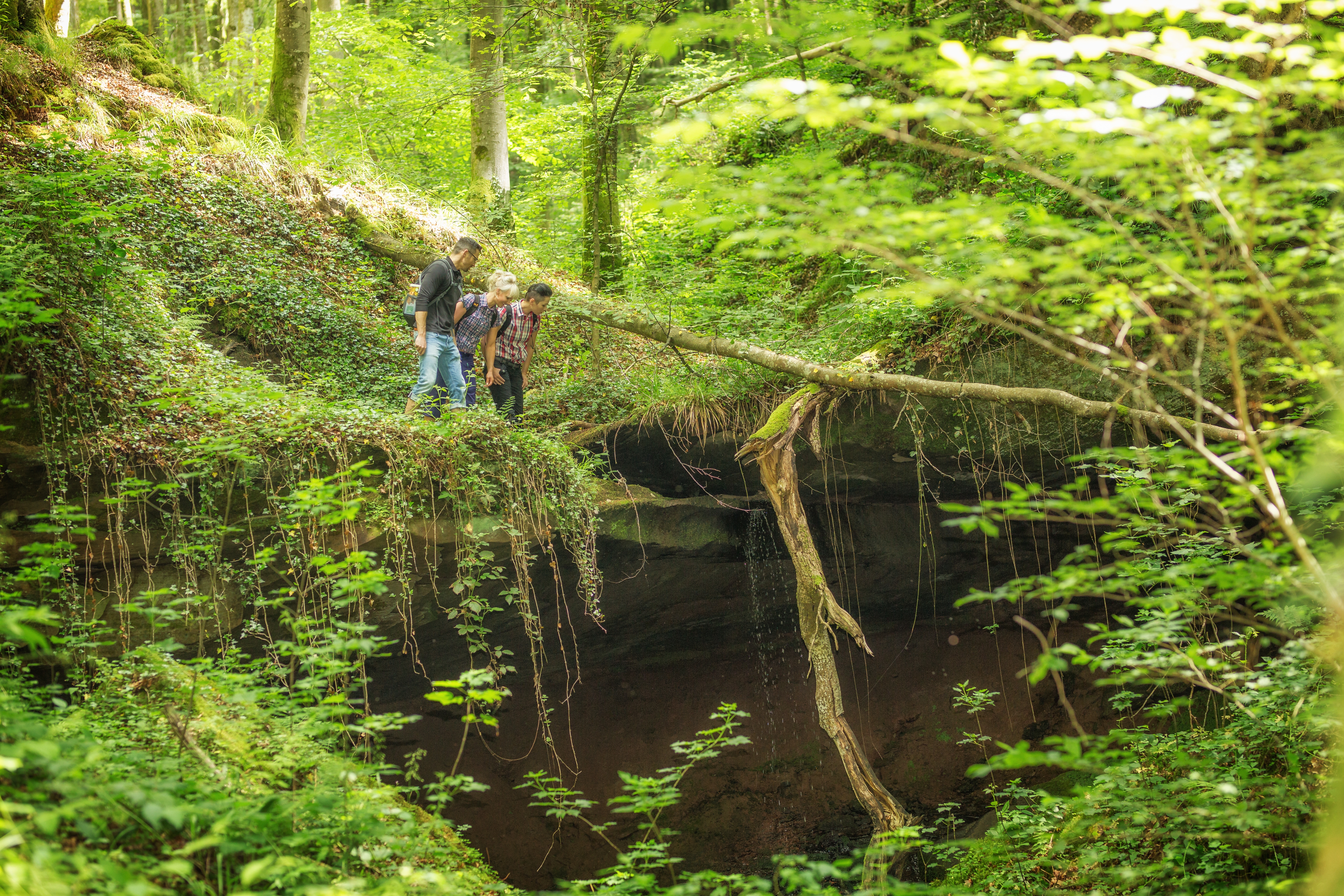 Hexenklamm Hexenklamm drei Wanderer schauen Abgrund runter