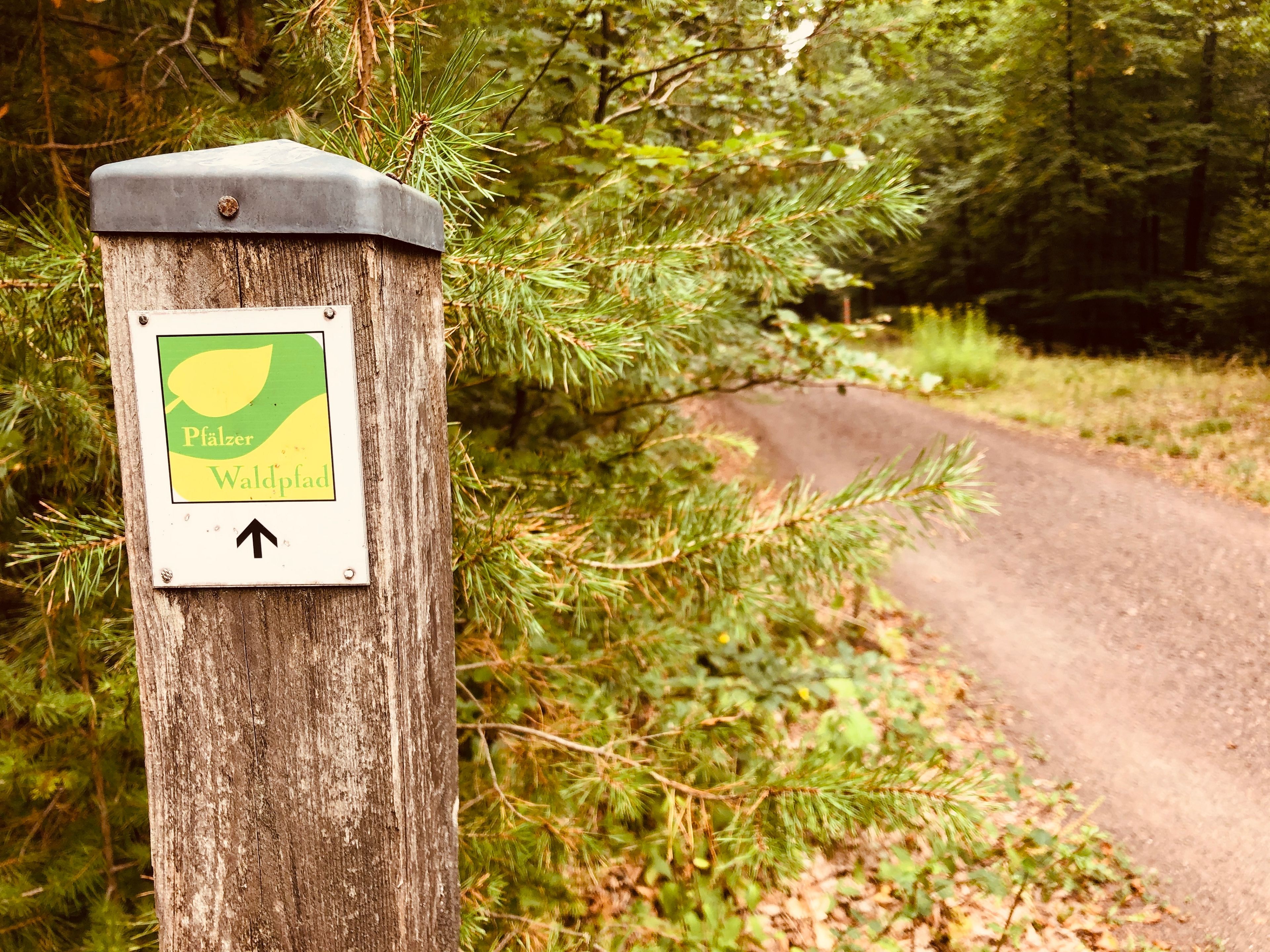 Pfälzer Waldpfad Pfälzer Waldpfad Schild