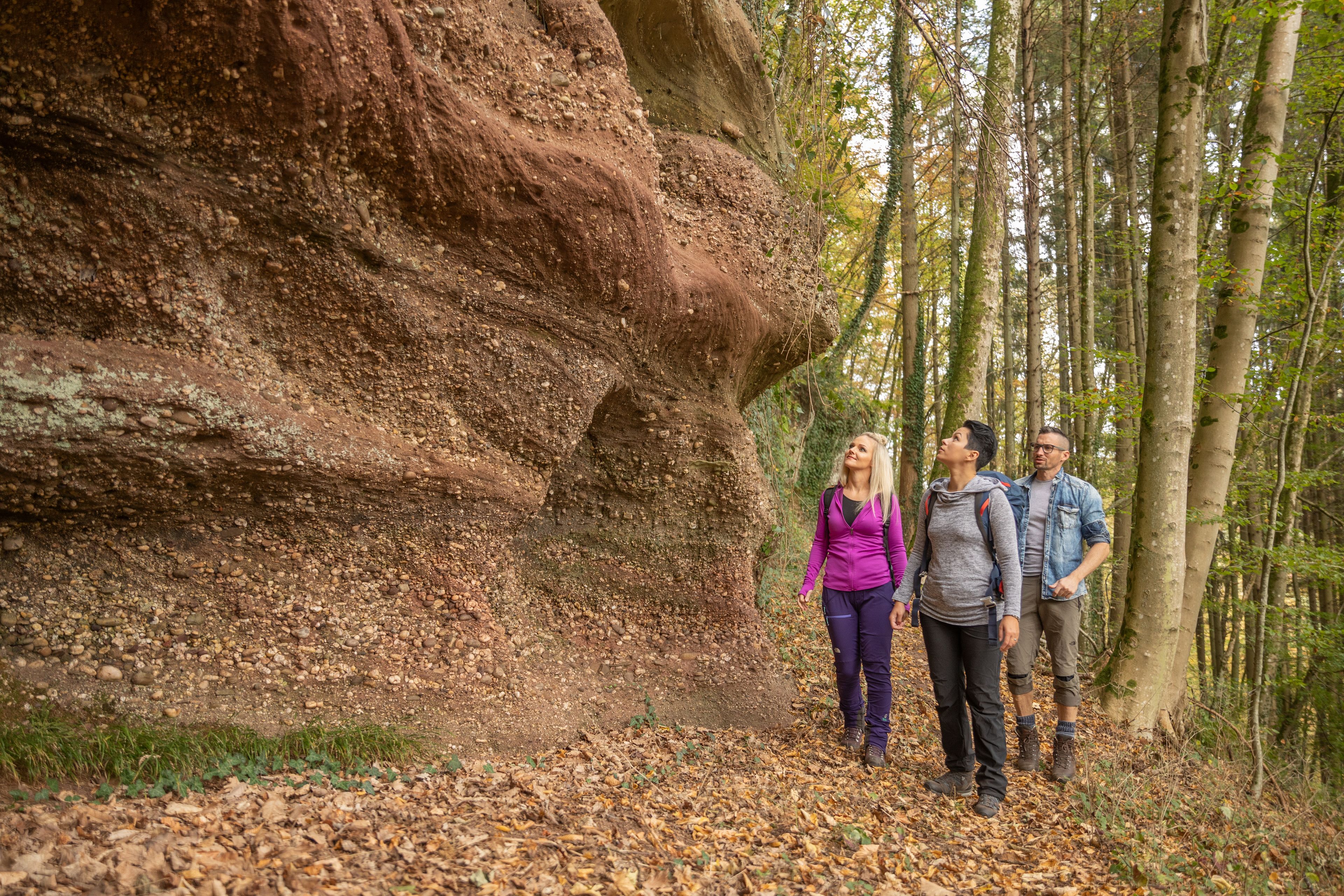 Wandern Drei Wanderer