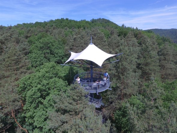 Baumwipfelpfad Baumwipfelpfad umgeben von Wald