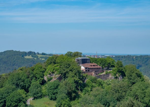 Burg Lemberg Burge Lemberg umgeben von Wald und bei blauem Himmel