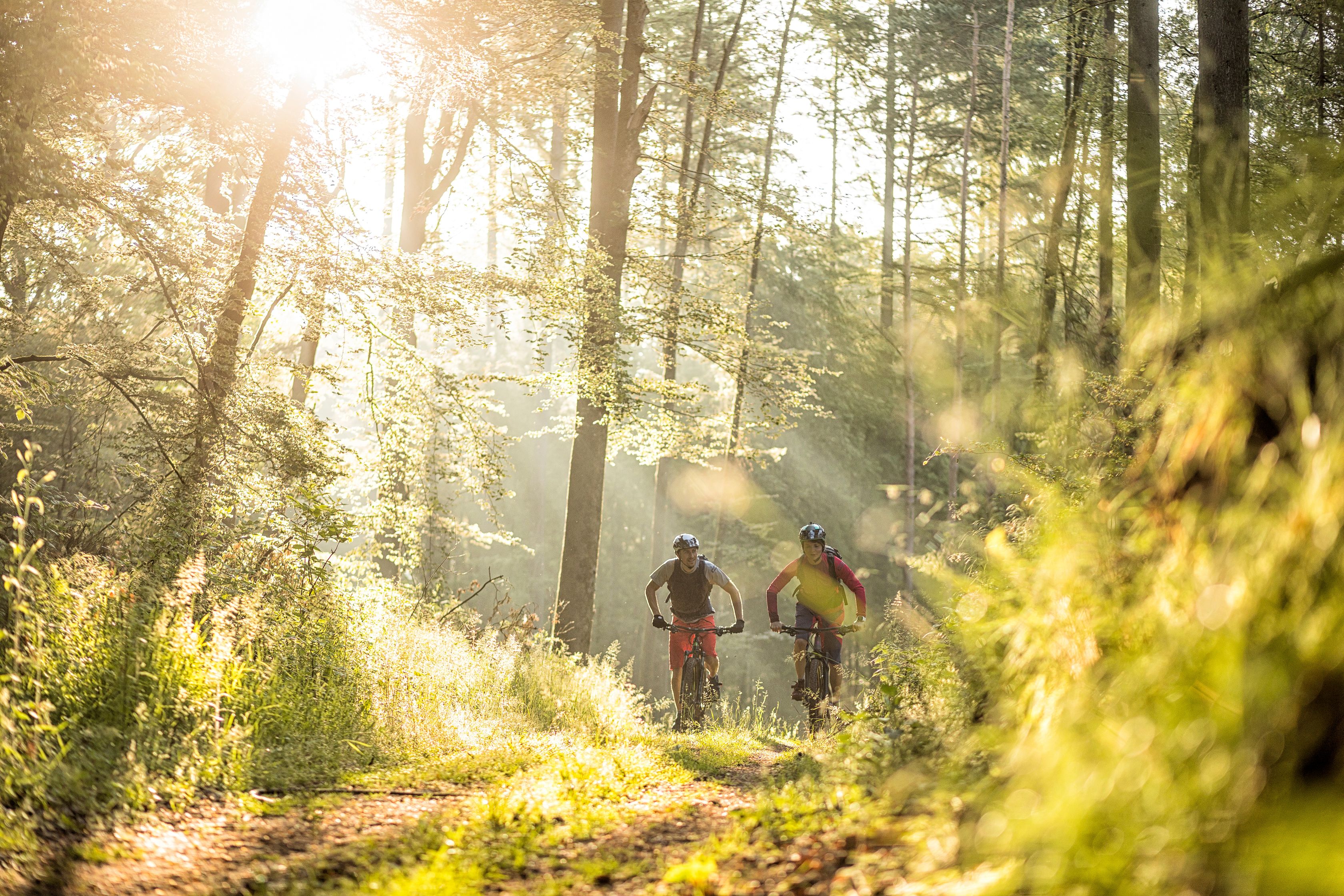 MTB Park-Pfalz Wasgau MTB Park-Pfalz Wasgau