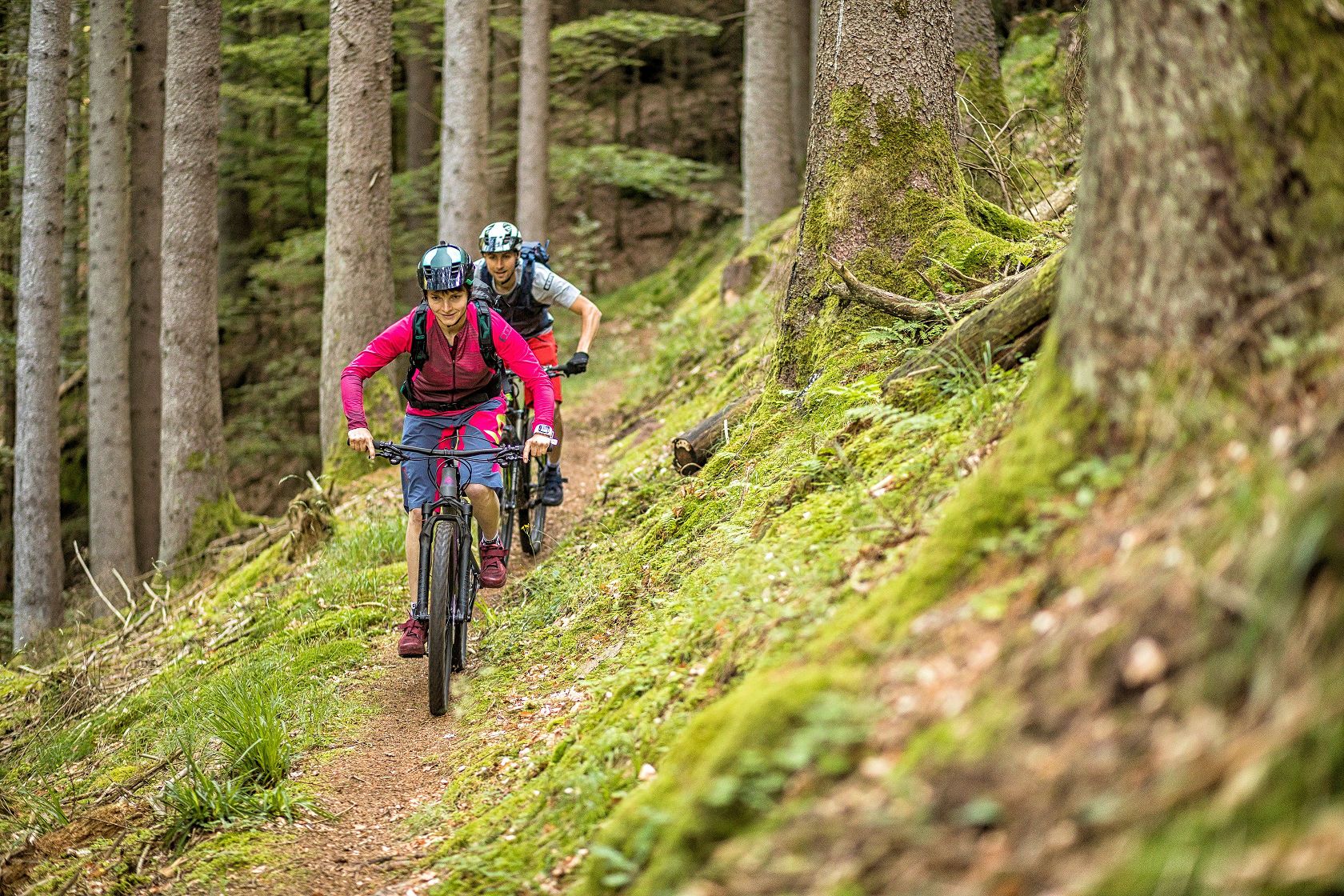 MTB Park-Pfalz Wasgau MTB Park-Pfalz Wasgau