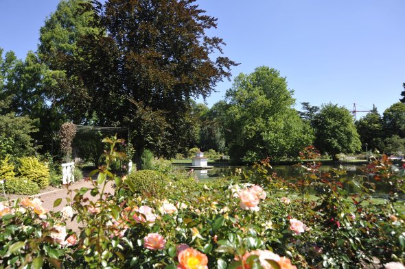ZW Rosengarten ZW Rosengarten Rosen im Vordergrund und See im Hintergrund