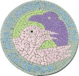 Vögel aus aller Welt Vögel