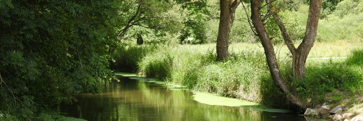 Fluss Umweltschutz