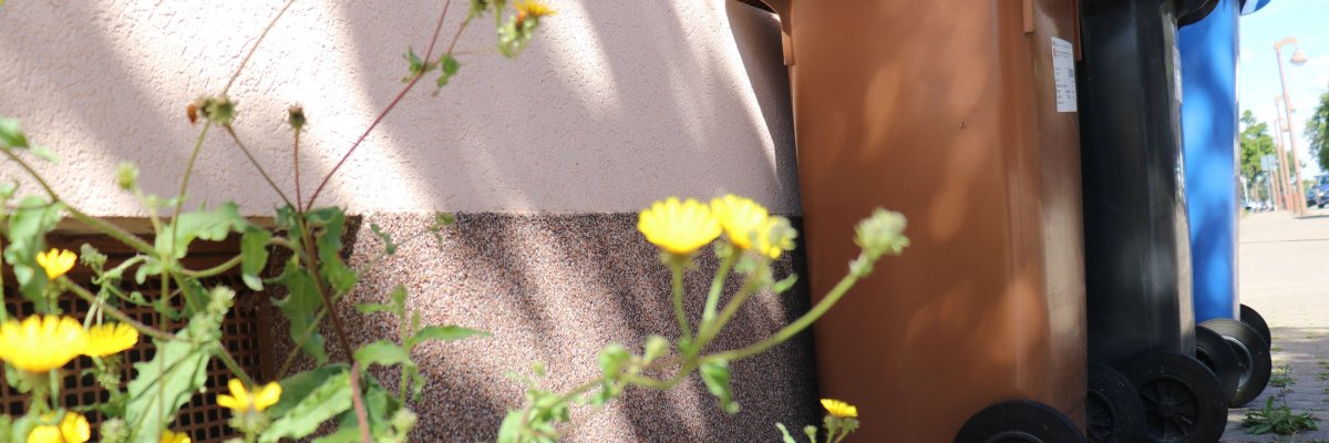 Mülleimer und Blumen Mülleimer und Blumen