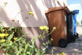 Mülleimer und Blumen Mülleimer und Blumen