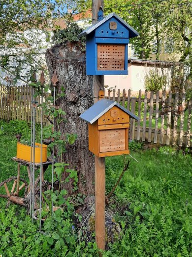Biene Bienenhotel an Baumstumpf