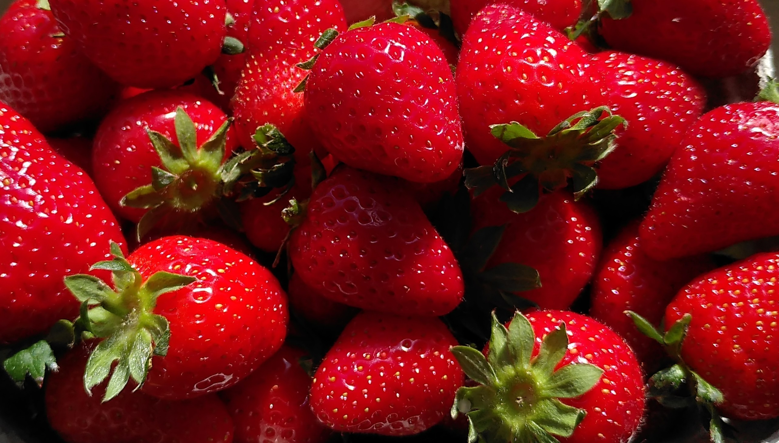 Erdbeere_8 Erdbeere_8