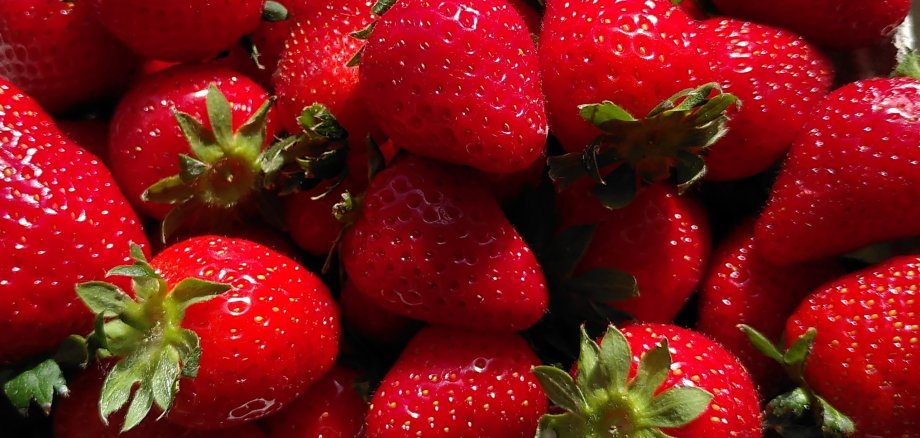 Erdbeere_8 Erdbeere_8