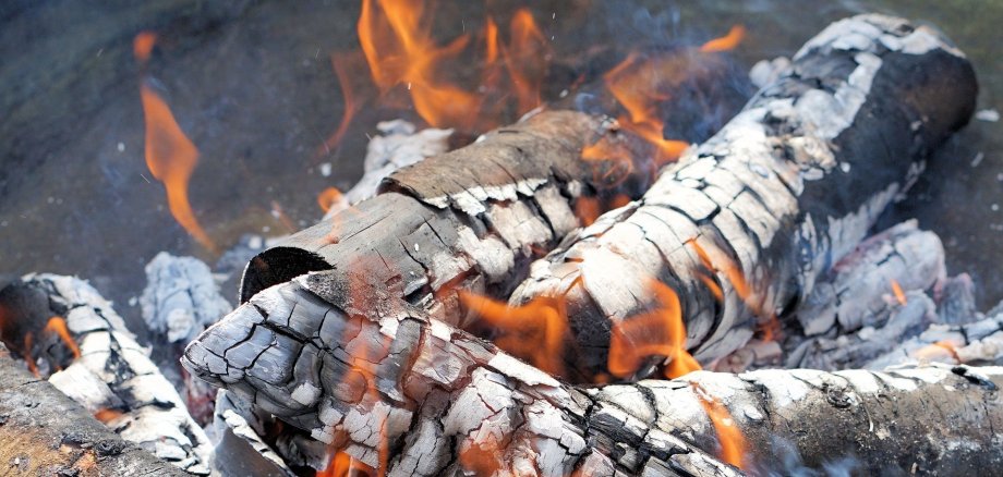 Holzfeuer Holzfeuer in einer Feuerschale