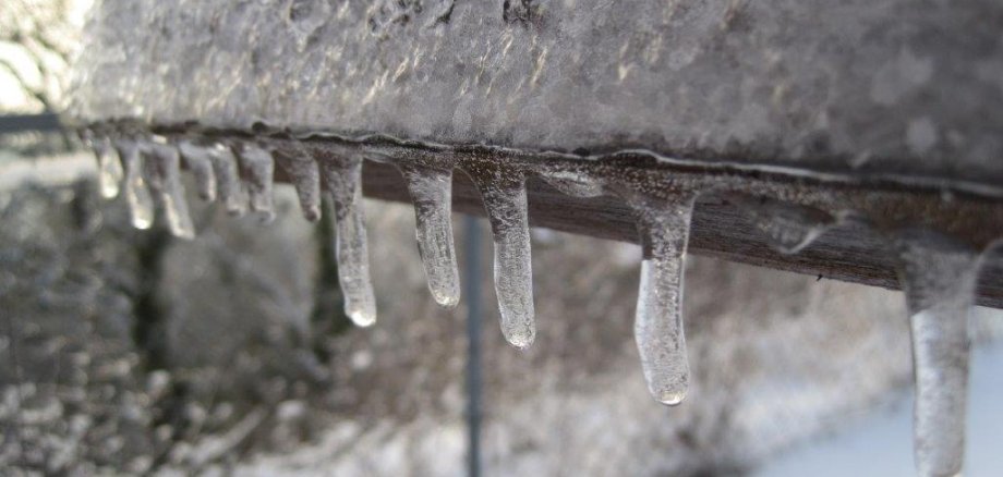 Schneeräumen Eiszapfen an einem Ast