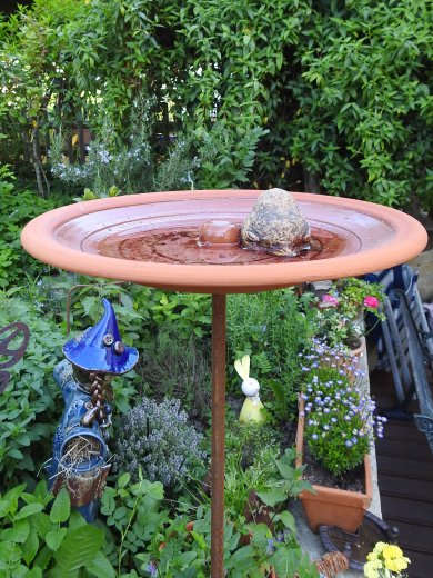 Wasser Vogelbad