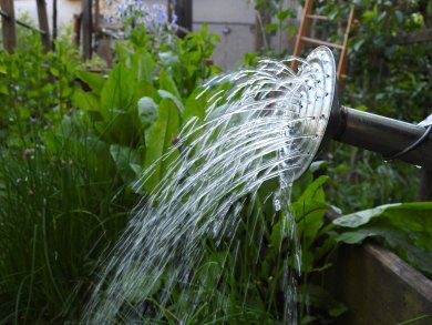 Wasser vordere Öffnung einer Gießkanne aus der Wasser kommt