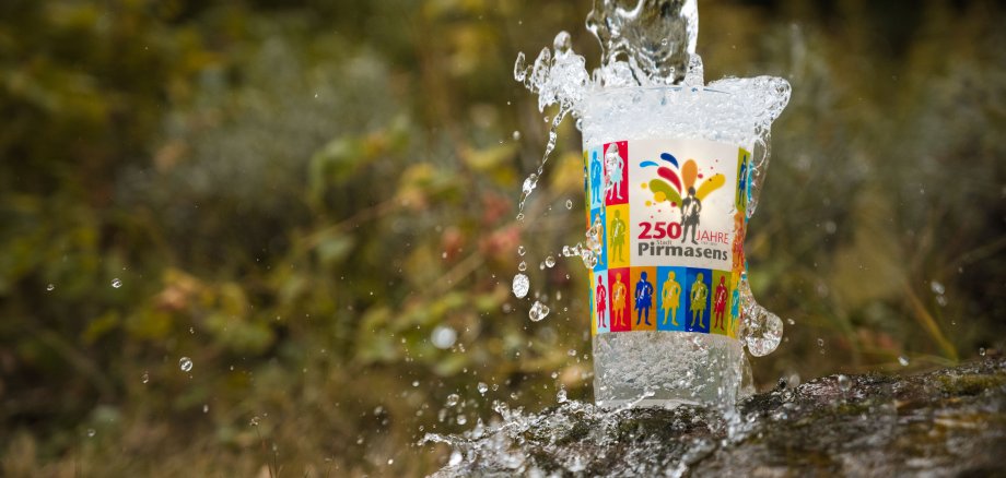 Wasser Wasser wird eingeschenkt ein Pirmasens Glas im Wald
