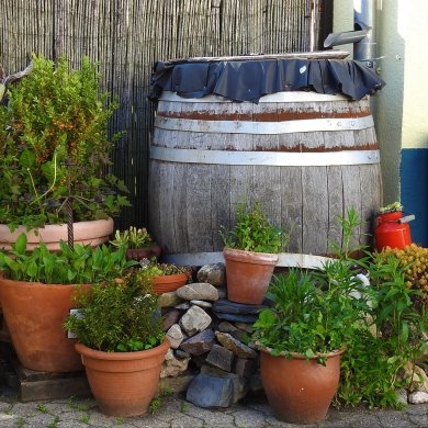 Wassertonne Wassertonne aus Holz mit Blumen im Vordergrund